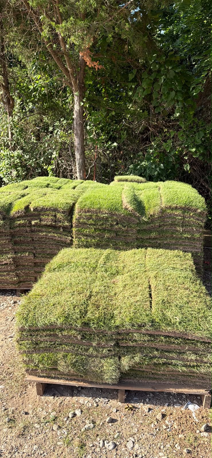 Fresh sod pallets